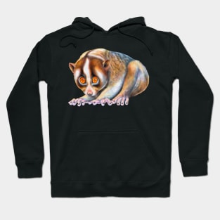 Slow Loris Hoodie